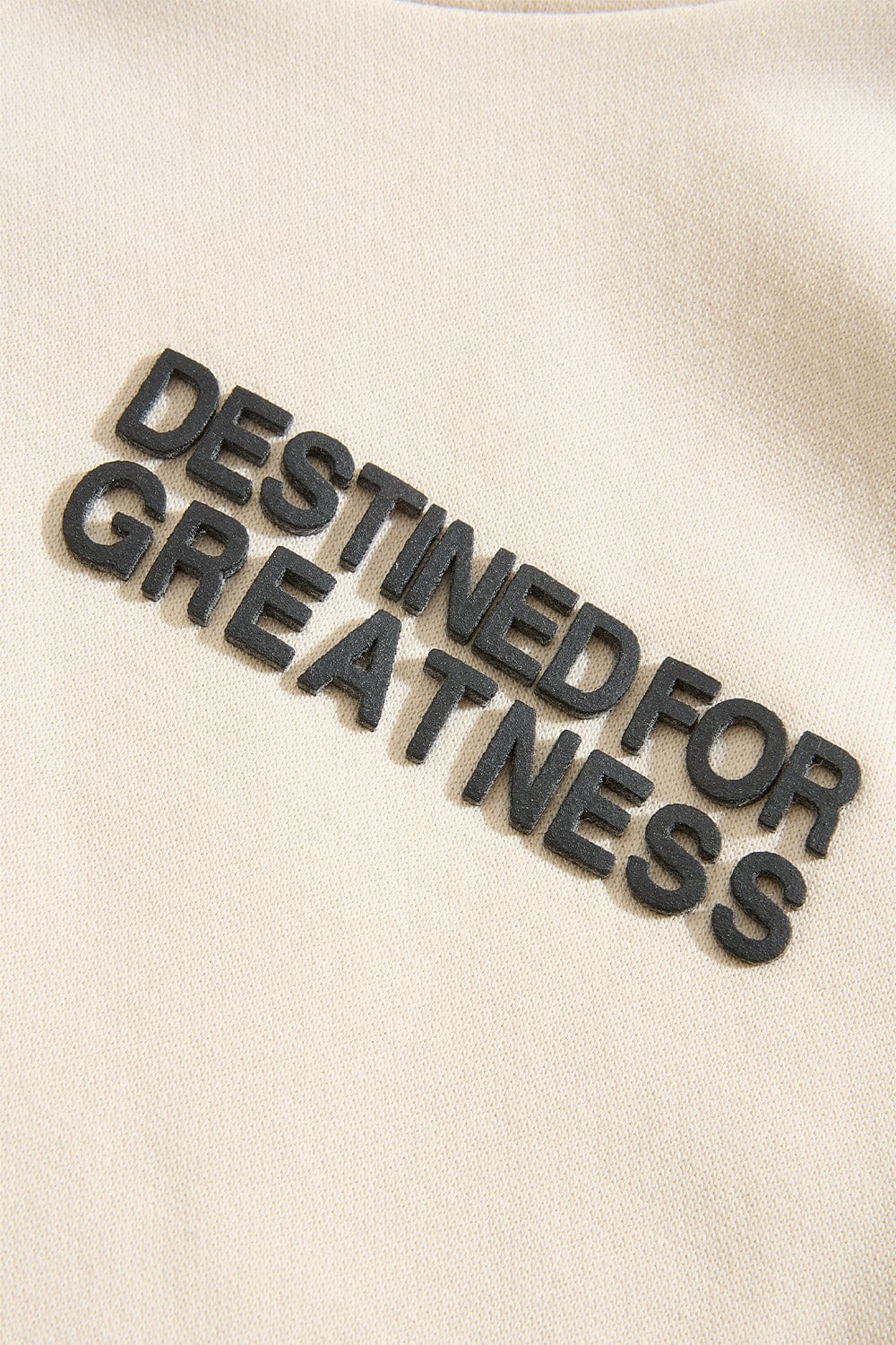 Kids Destined For Greatness Pullover Hoodie (2026 Edition) - Image 28
