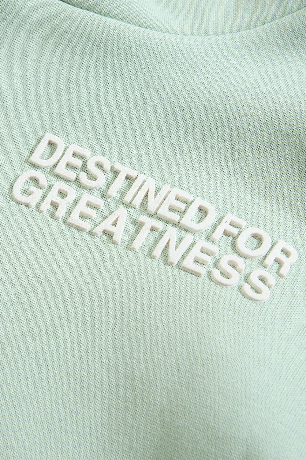 Kids Destined For Greatness Pullover Hoodie (2026 Edition) - Image 41