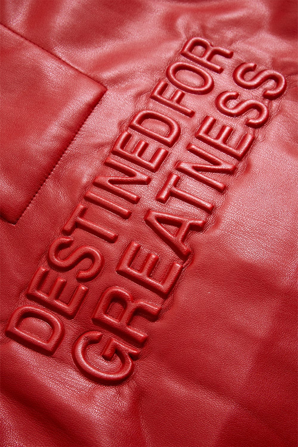 Kids Destined For Greatness S/S Shirt - Image 32