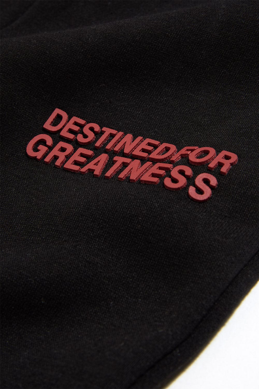 Kids Destined For Greatness Stacked Sweatpants - Image 20