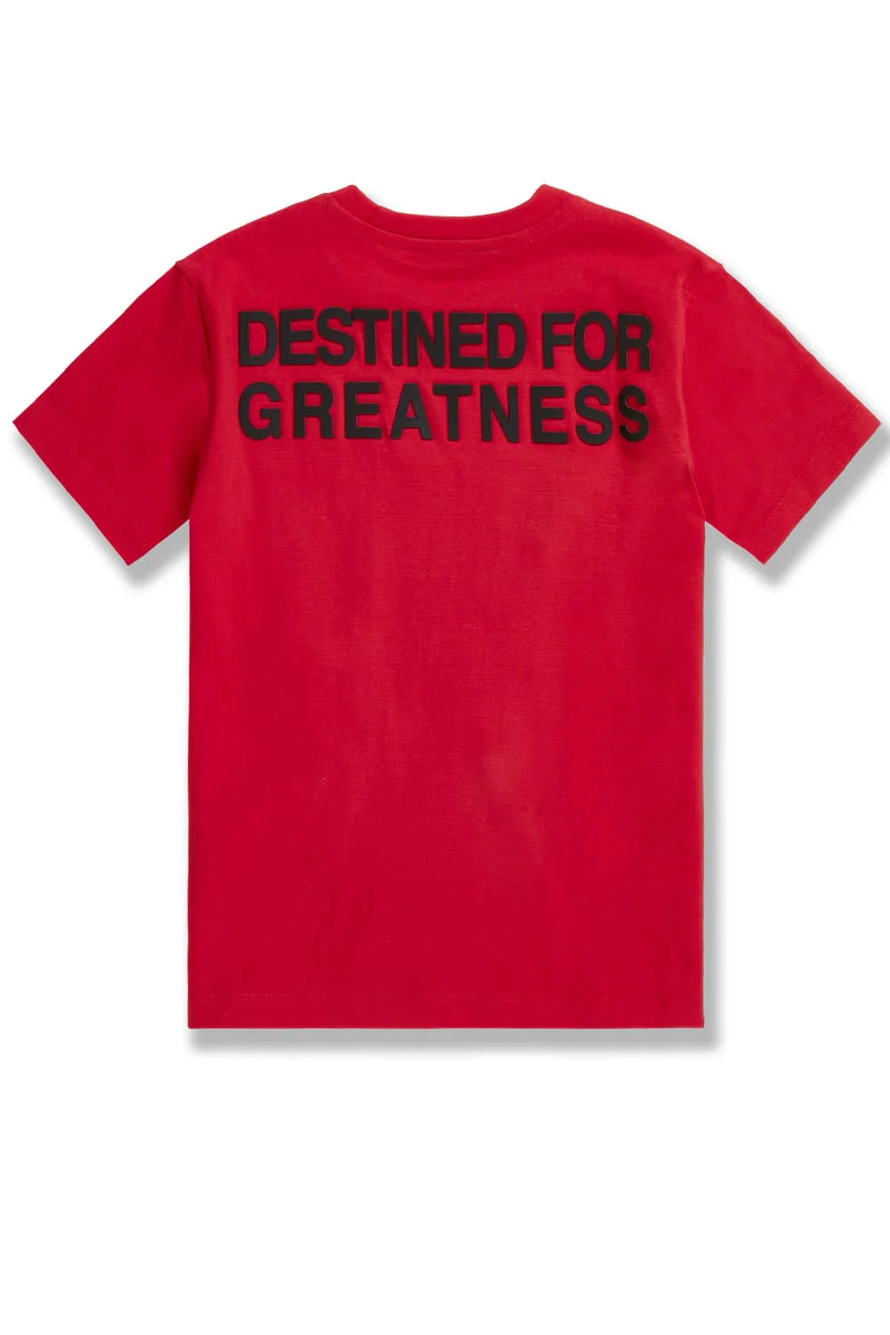 Kids Destined For Greatness T-Shirt - Image 5